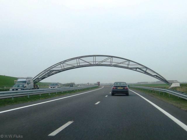 n31brugzurich