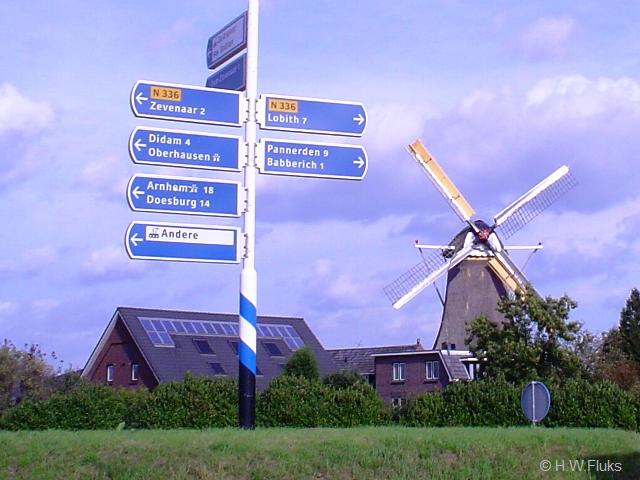 n336DSC02931