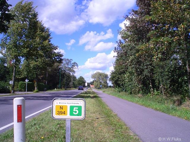 n394