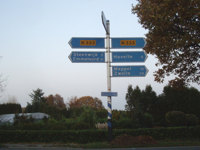IMGP0356n333nogsteeds