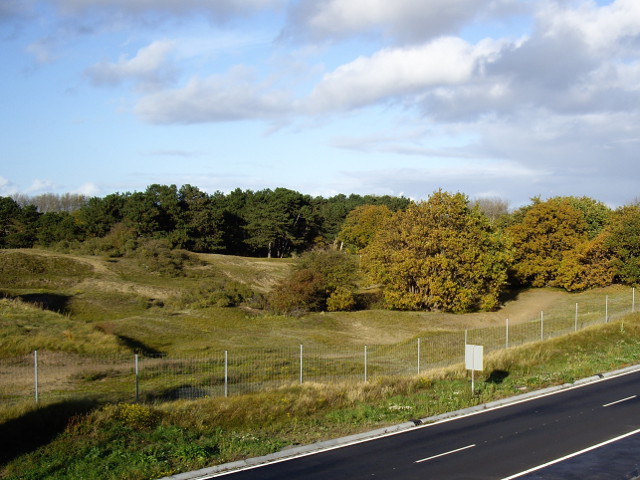 IMGP2286n440duinen