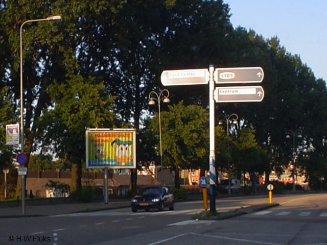 sa105duckDSC04930