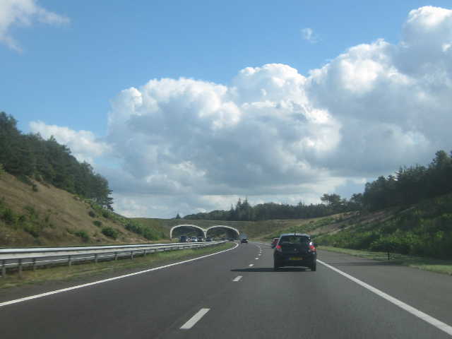 a1veluwebis_2877