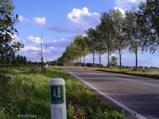n296