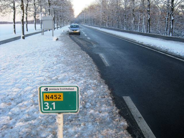 n452goudanieuw