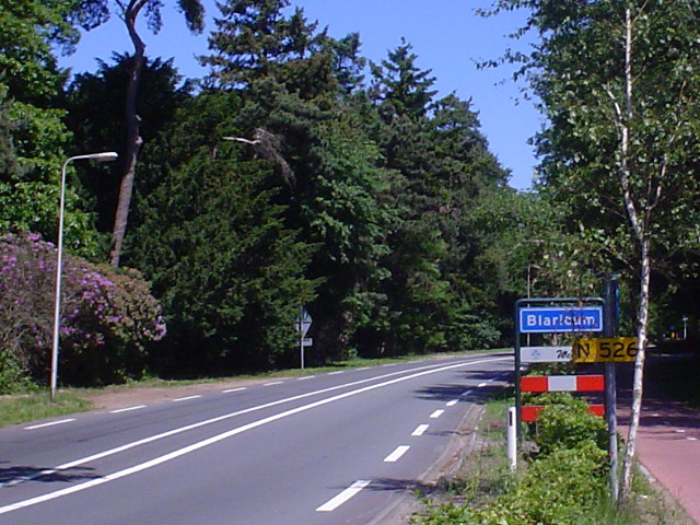 DSC07174n526