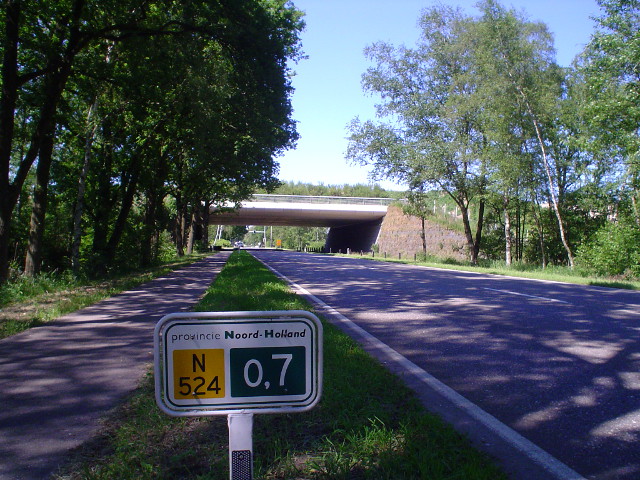 DSC07180n524
