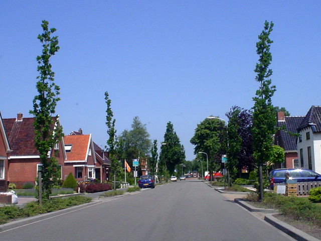 DSC07248rengerslaan