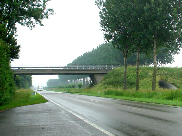DSC07406n666