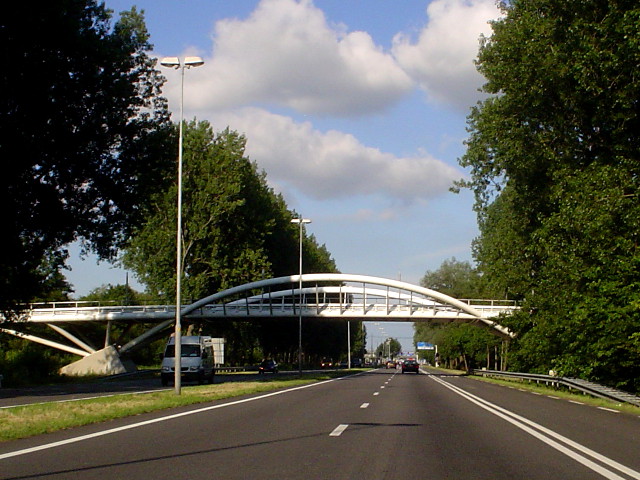 DSC07435n516