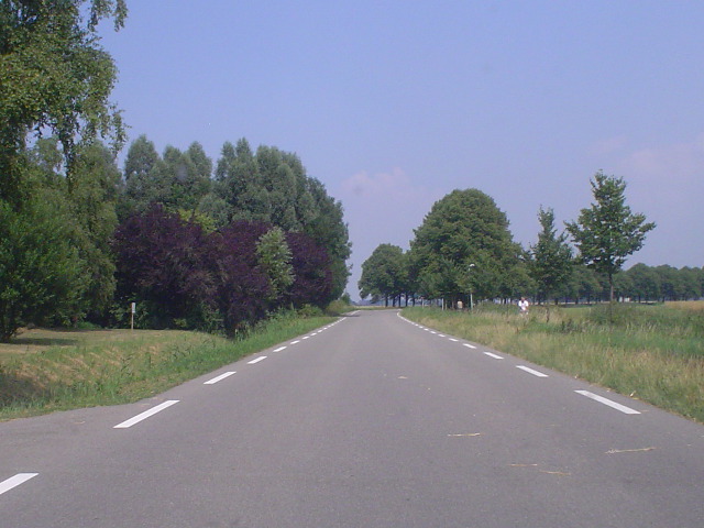 DSC07832n968