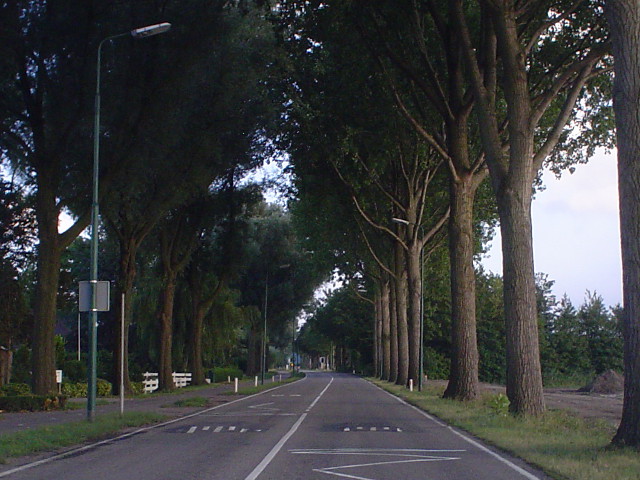 DSC07878n406vleuten