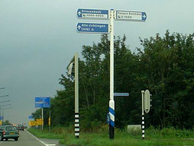 DSC08005a16allericht