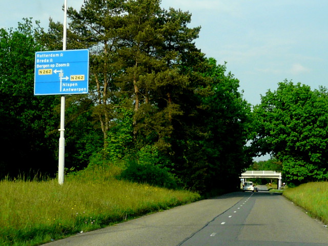 P1240784n262
