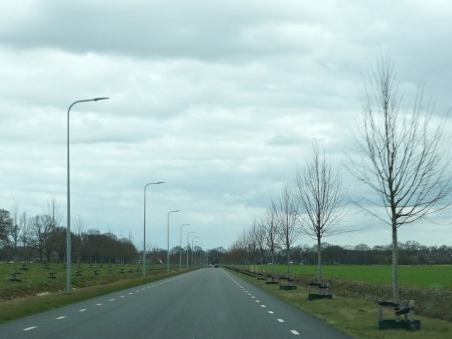 DSC08768n852hollandscheveld