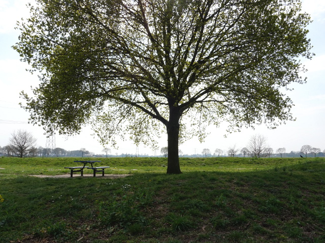 DSC09034vzpoudbroeken