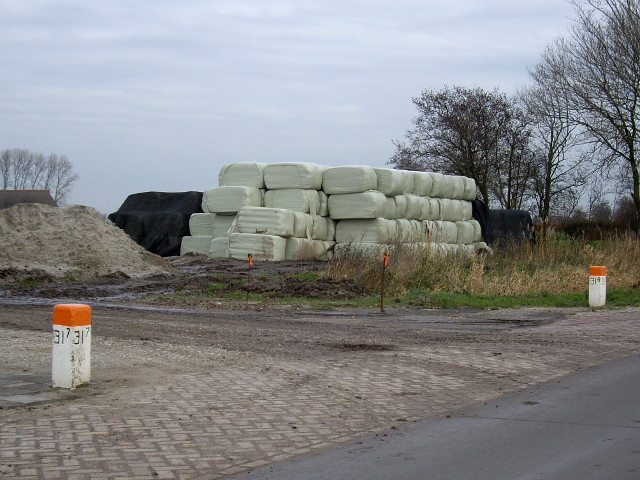 IMGP2421hmburum1