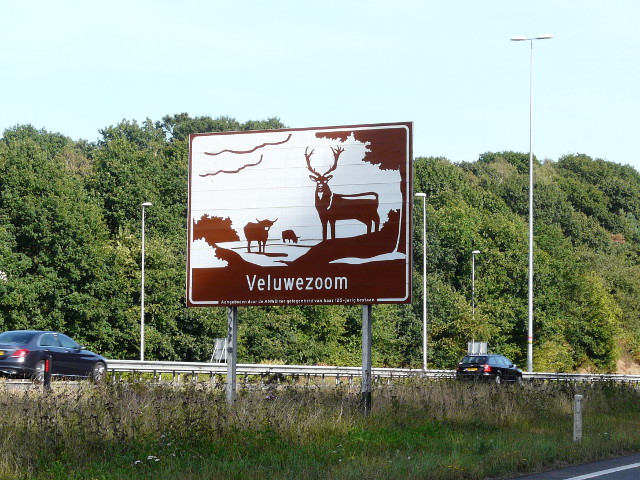 P1270994bruinveluwezoom