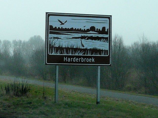 P1300394bruinharderbroek