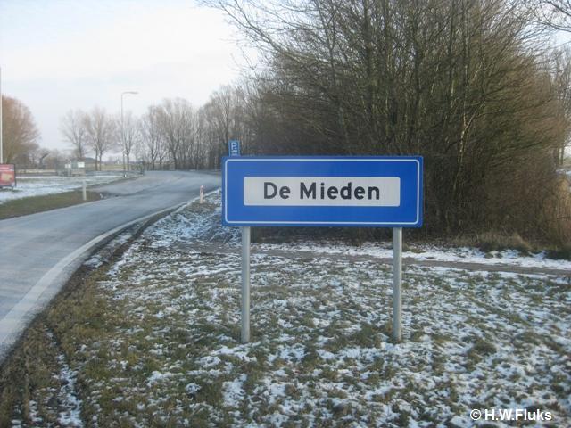 demieden_7855