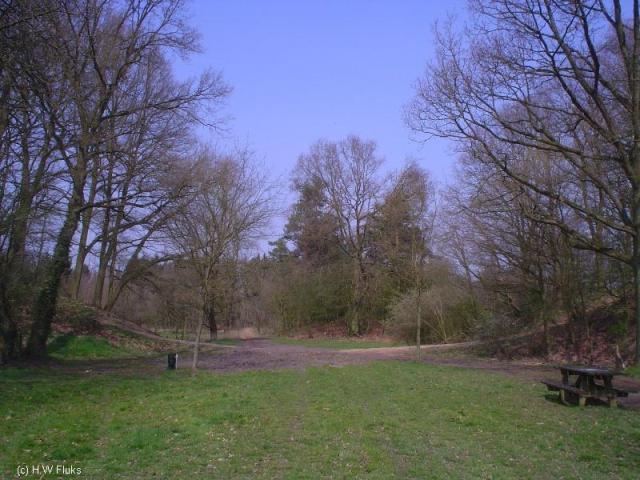oud50a
