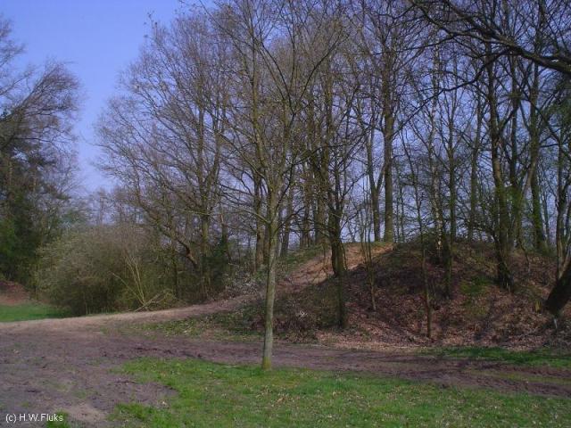 oud50e