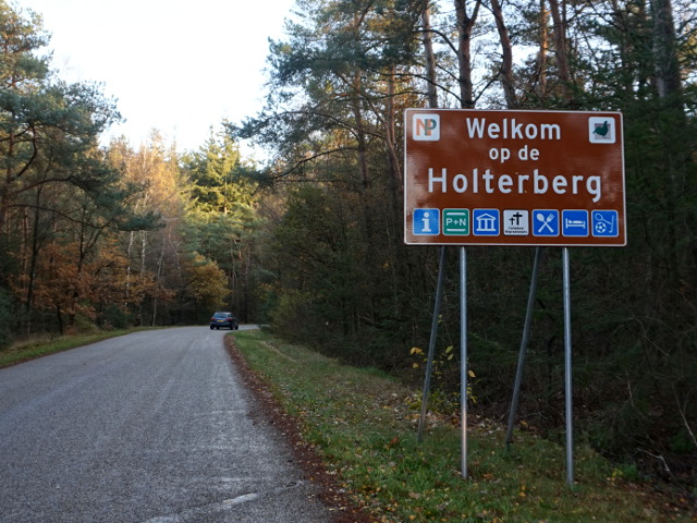 DSC02143bruinholterberg