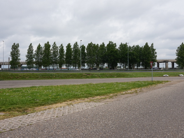 DSC02286vzpdenhoek