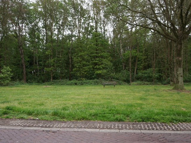 DSC02346vzpdeersels