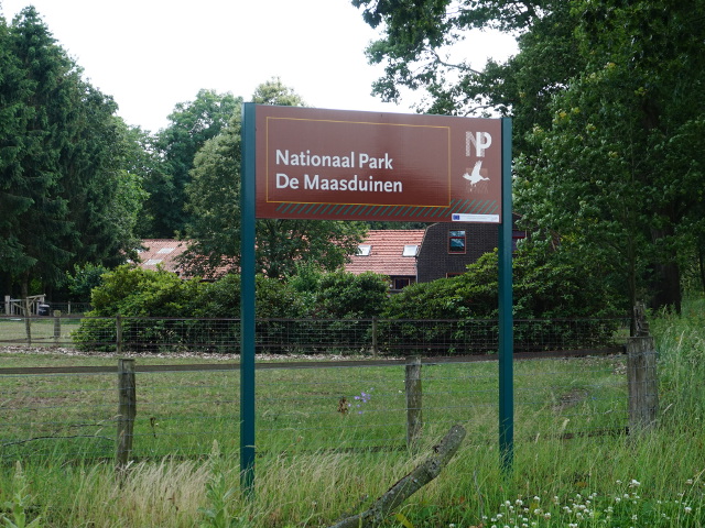 DSC03277bruinmaasduinen