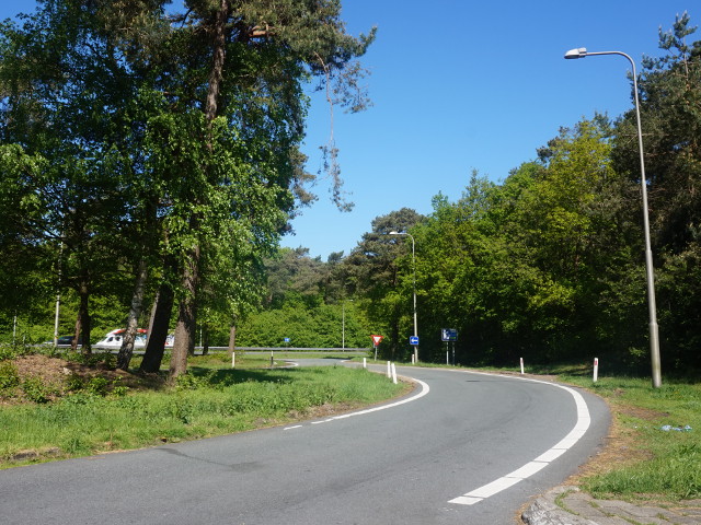 DSC03993vzpbornheim