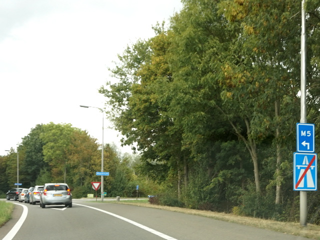 DSC04955m5gronsveld