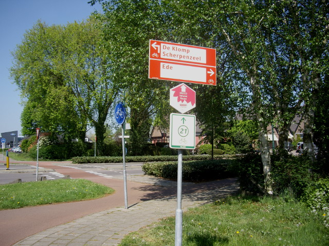 IMGP4684k21