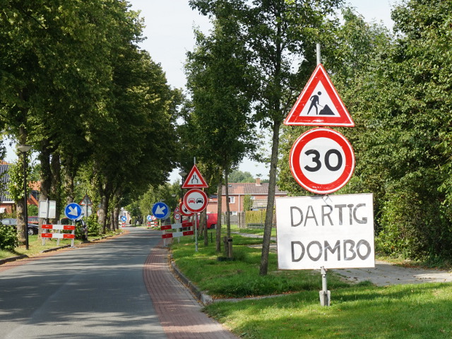 DSC01538onderdendamdartigdombo