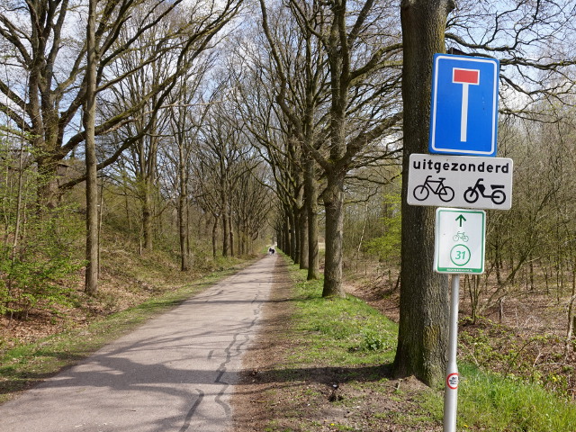 DSC04555k31tilburg