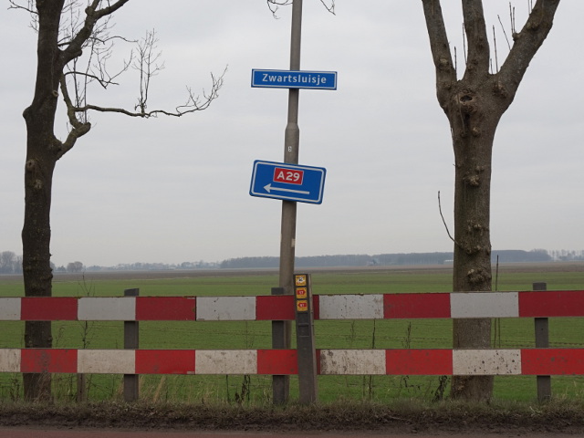 DSC05630a29izuidbeijerland