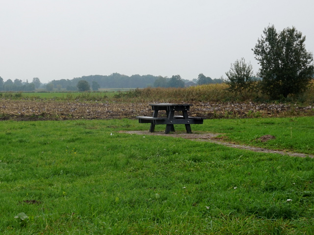 DSC06143vzpdasselaar