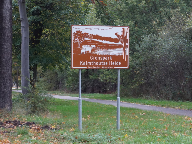DSC07260kalmthoutseheidebruin