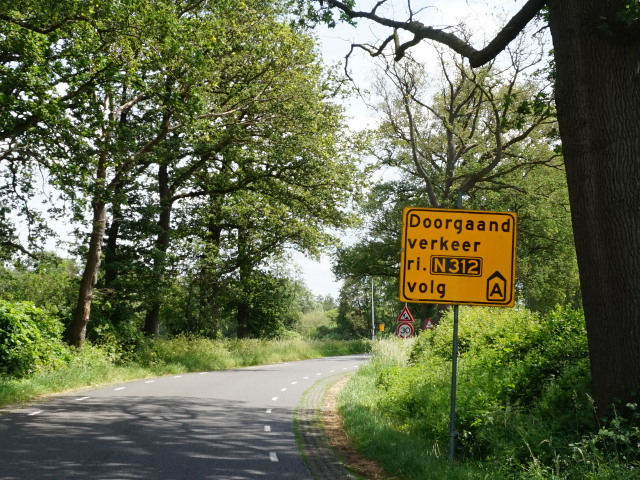 DSC09613n312opgeel