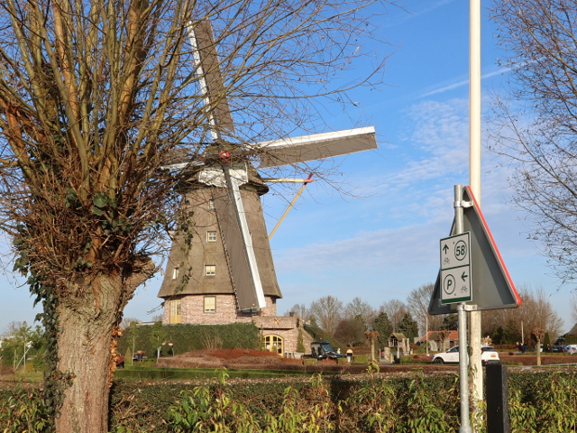 IMG_7901k58blitterswijck