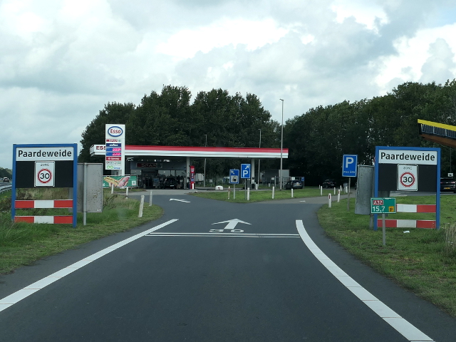 P1110721vzppaardeweide