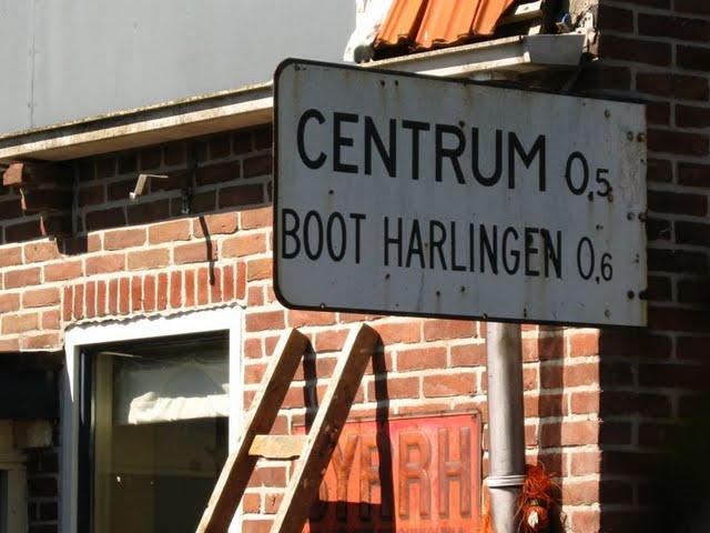 antwestterschelling_ties