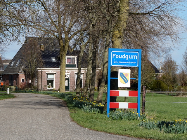 DSC00499foudgum_b