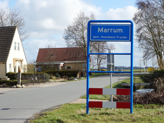 DSC00509marrum_b