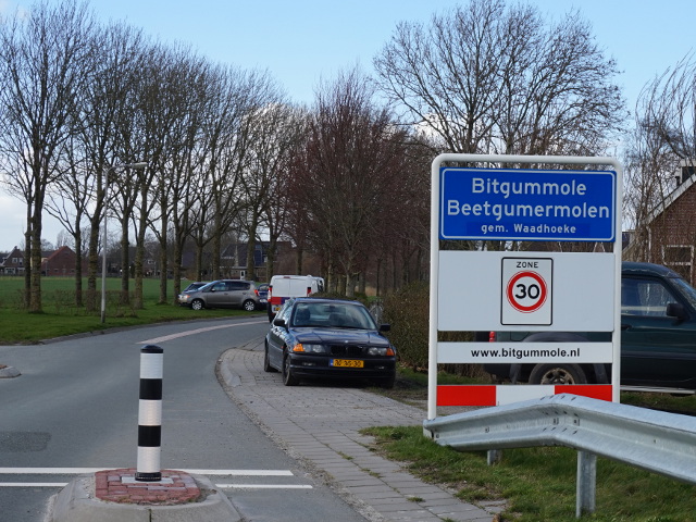 DSC00532bitgummole_b
