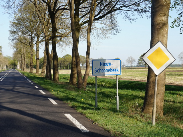 DSC01486nieuwschoonebeek_w