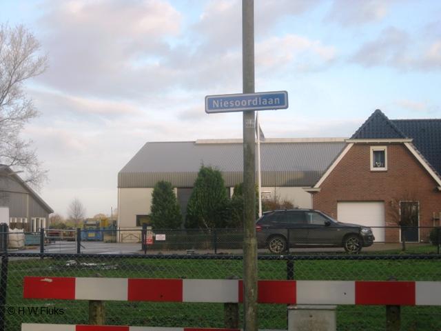 niesoord6959