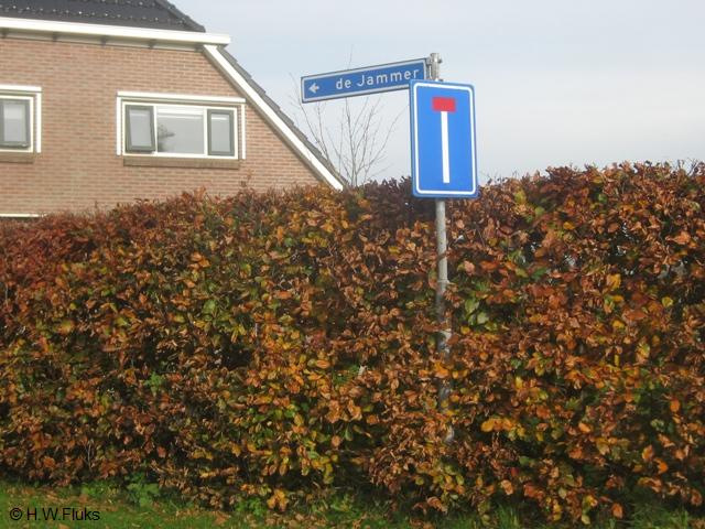 noordwijkdejammer6682