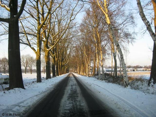 rukven5531