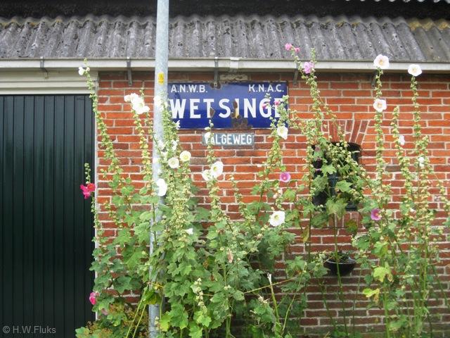 wetsingeant4049